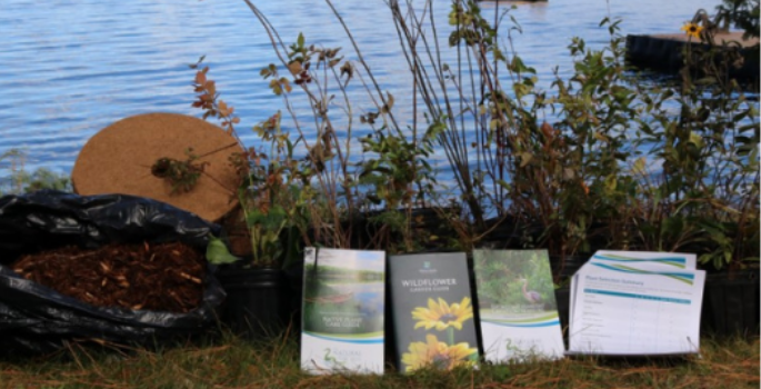 potted trees, shrubs and wildflowers are shown alongside a bag of mulch, coco disc, tree gaurds, and plant care guides